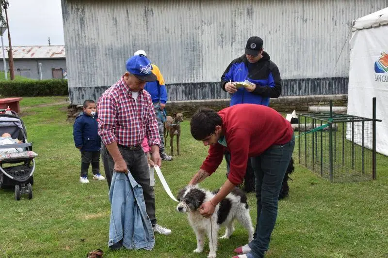 Jornada sobre tenencia responsable de mascotas