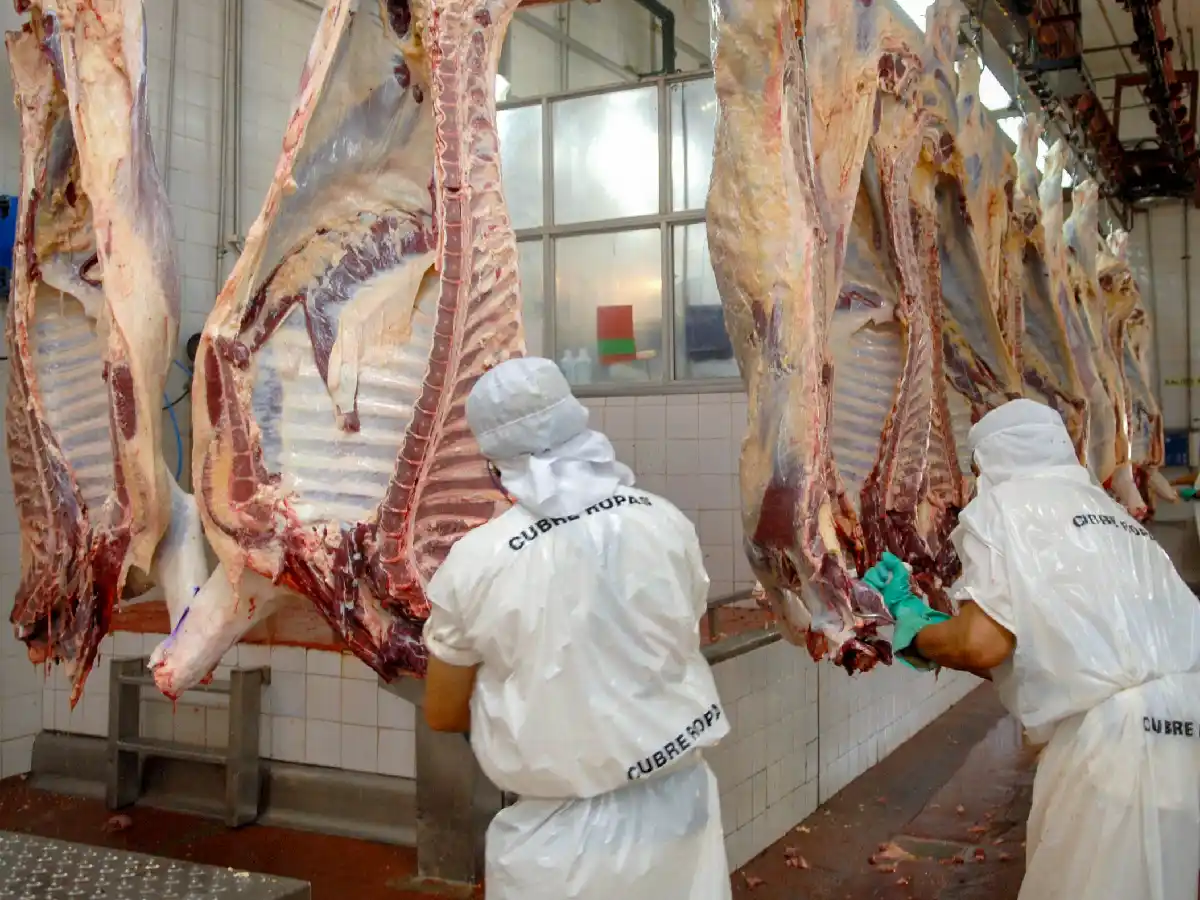 En silla de ruedas, se recibió de profesor de educación física