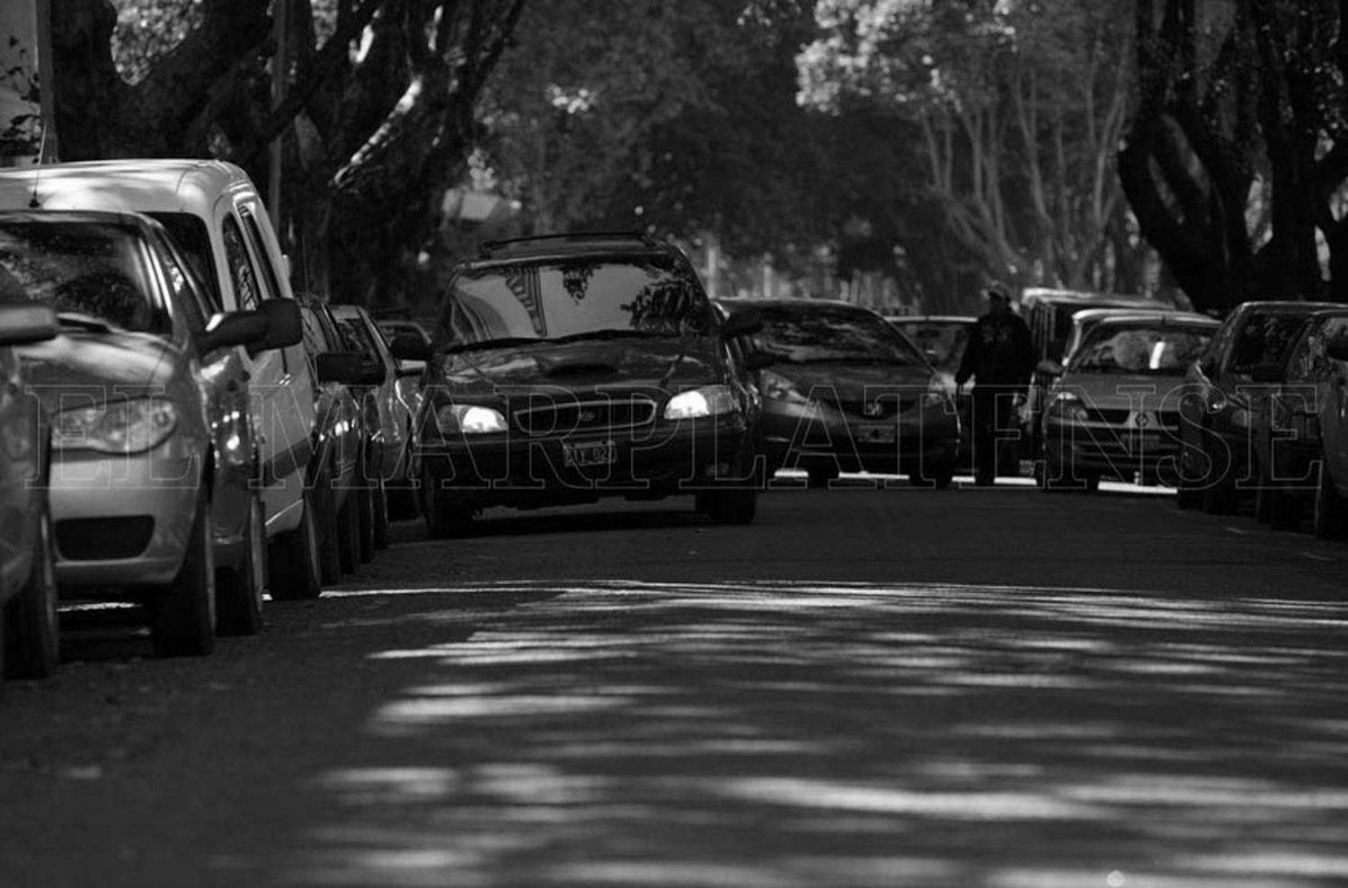 Día Nacional de la Seguridad Vial