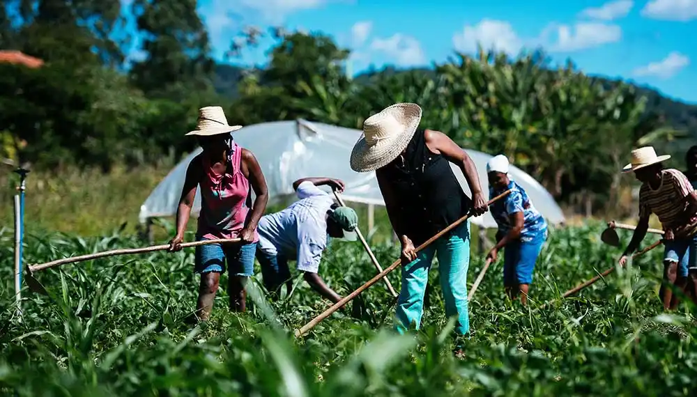 Se celebra hoy el Día Mundial de la Agricultura