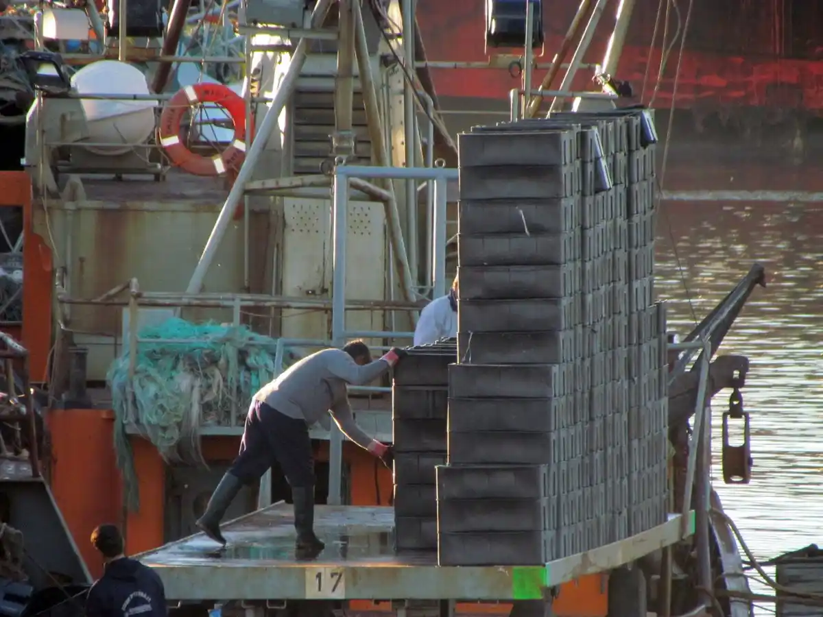 Puerto: "La liberación de los combustibles hoy perjudica en demasía"