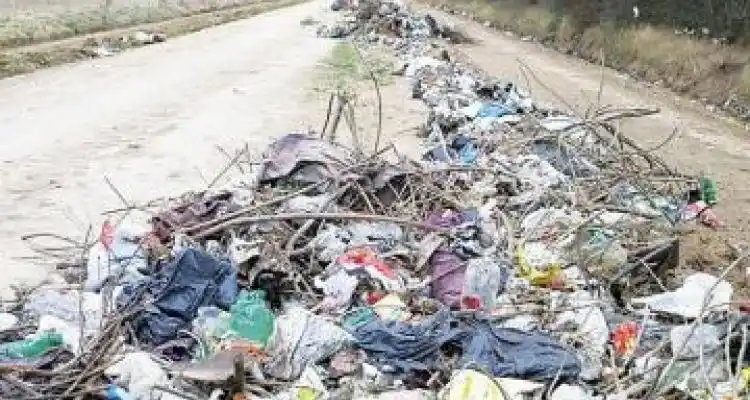 A mayor cantidad de basurales improvisados, el mismo servicio