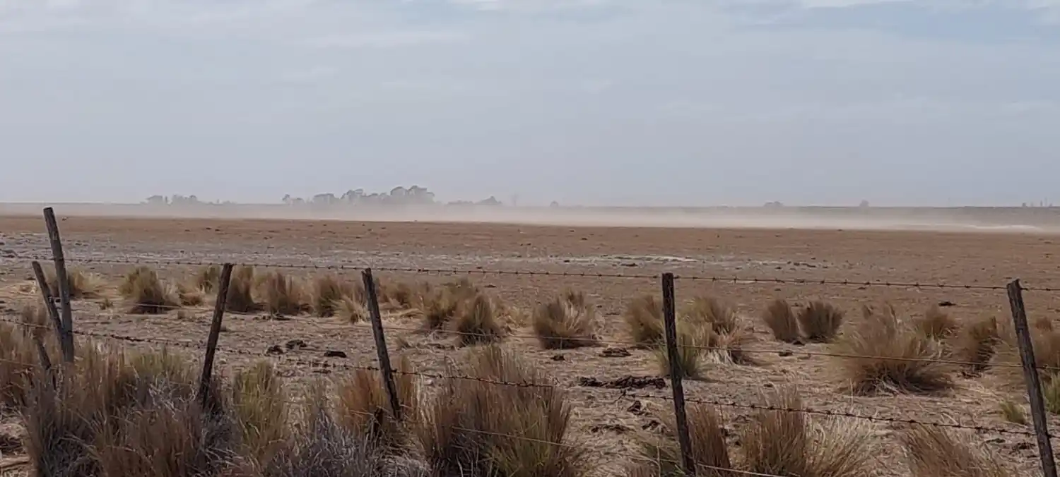 Sequía en Patagones: Esperan la visita del secretario de Agricultura de la Nación en medio de malos pronósticos