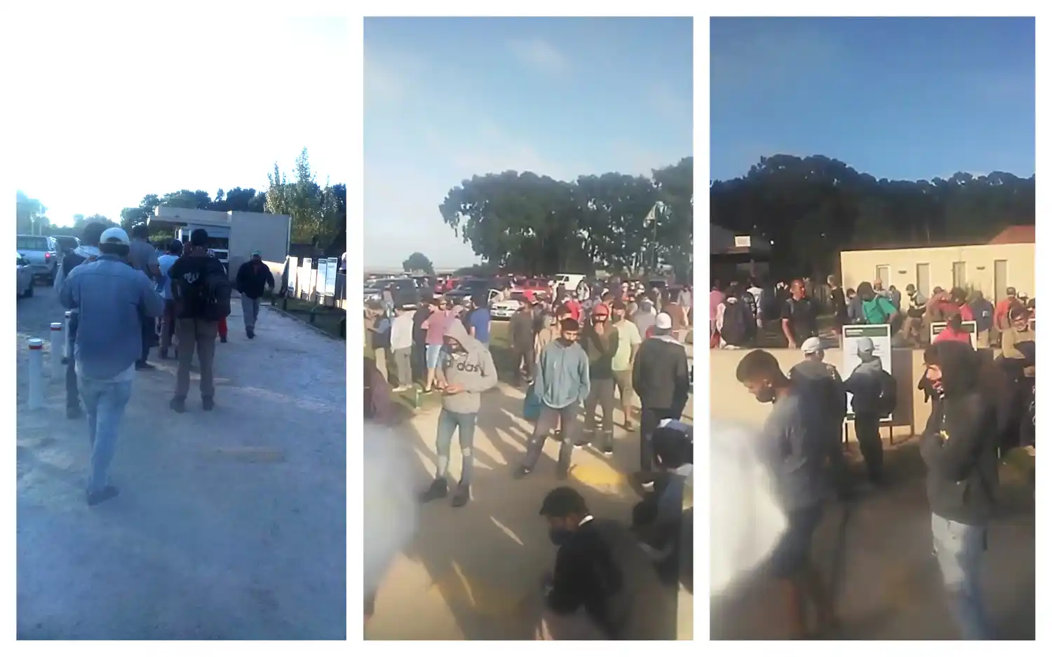 El drama de mil trabajadores "esclavos" en La Costa: Esperan 6 horas para entrar, amontonados, sin baños ni agua