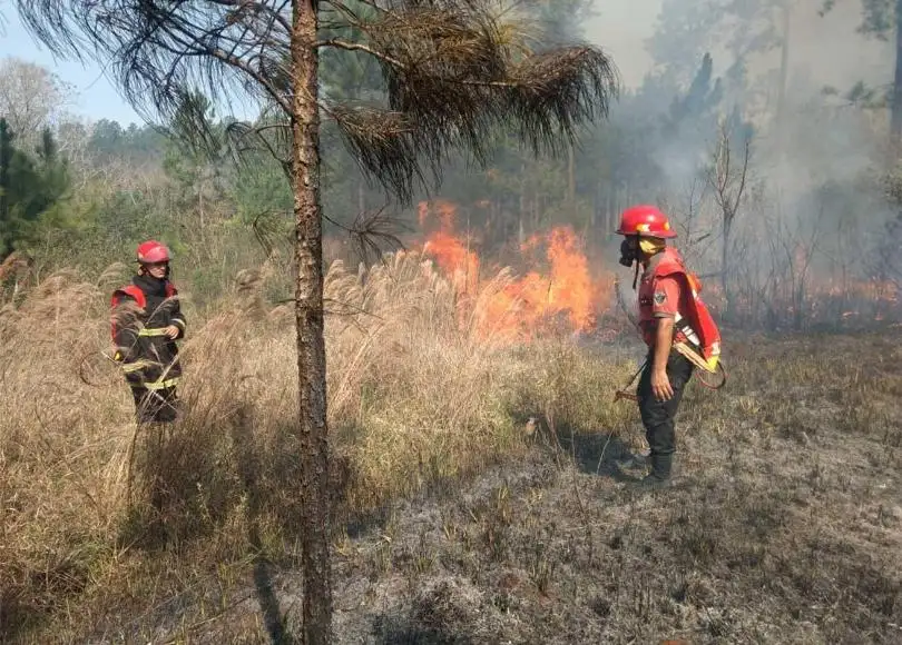 Incendios en el Chaco Americano produjeron "mayor desastre ambiental" que inundaciones