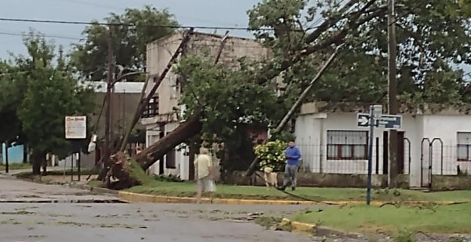 La elocuente imagen muestra el añoso árbol volcado sobre la vivienda de la esquina.