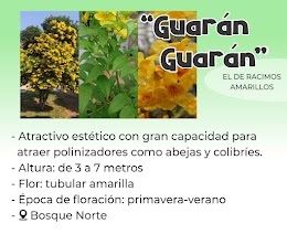 guarán
