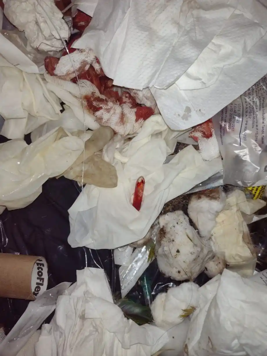 pinchazo recolector de basura - 1