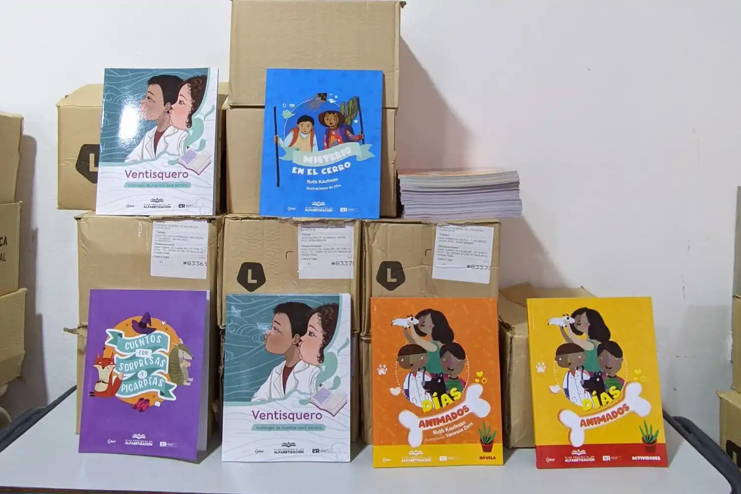 El CGE abrió los sobres para la impresión y distribución de más de 100 mil libros del Programa Provincial de Alfabetización