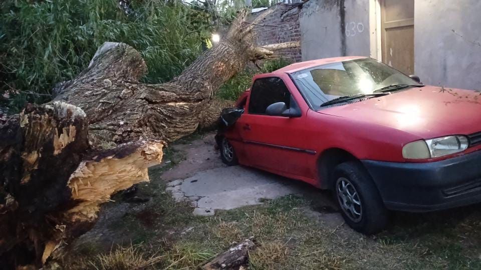 Árboles y ramas cayeron en algunos sectores de la ciudad. En Hermano Indio 600 un auto quedó aplastado