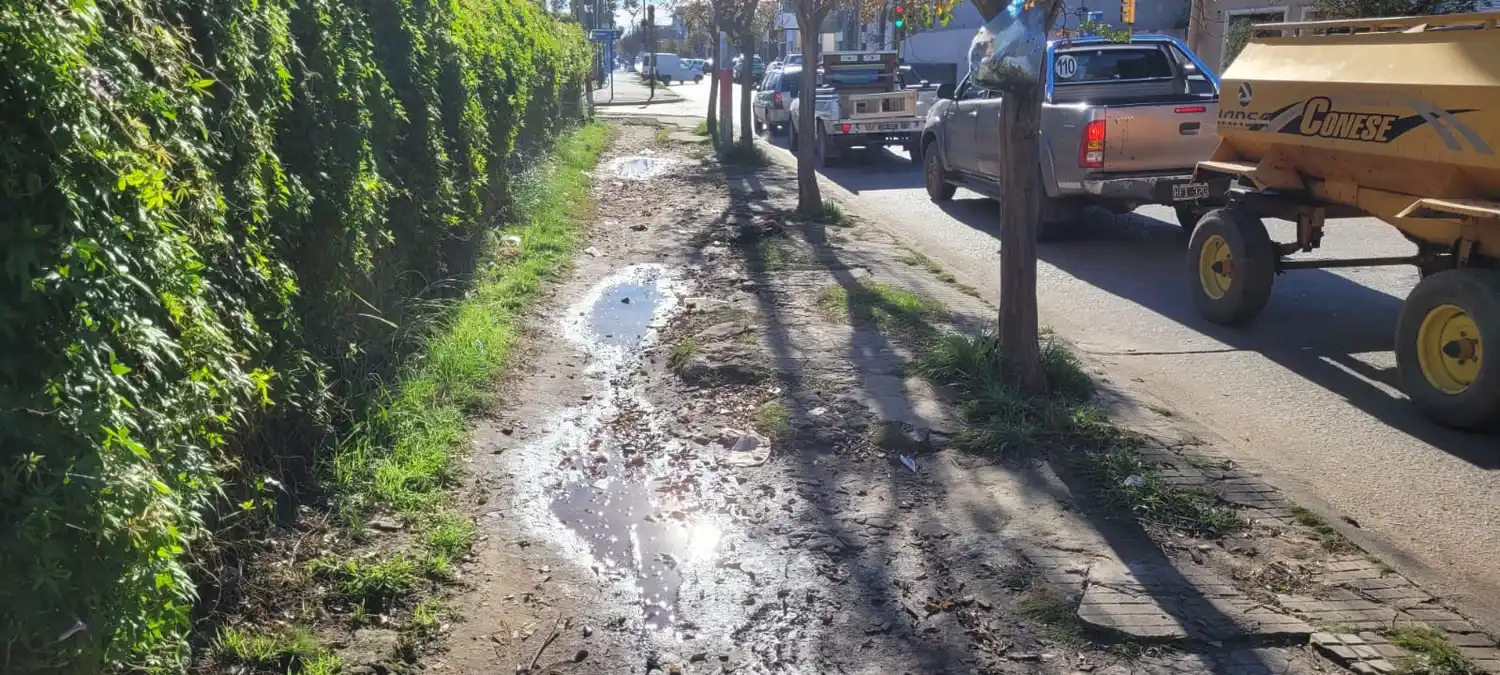 La vereda del estadio municipal, Mitre casi esquina Bozzano. En días de lluvia intransitable por el barro.
