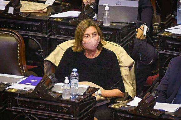 Diputada Pro: �SEl país está fundido y nos negamos a venderle a quienes quieren comprarnos⬝