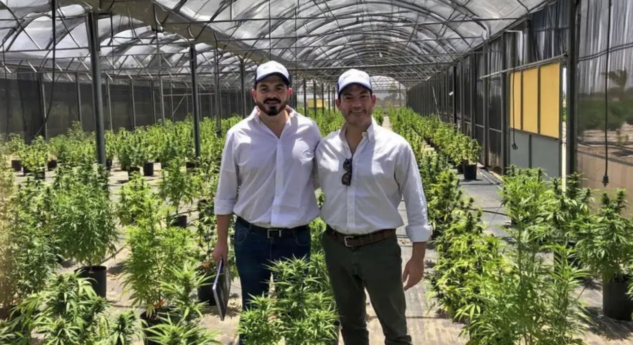 El sampedrino Jonathan Galván es el Presidente de Flowercann.
