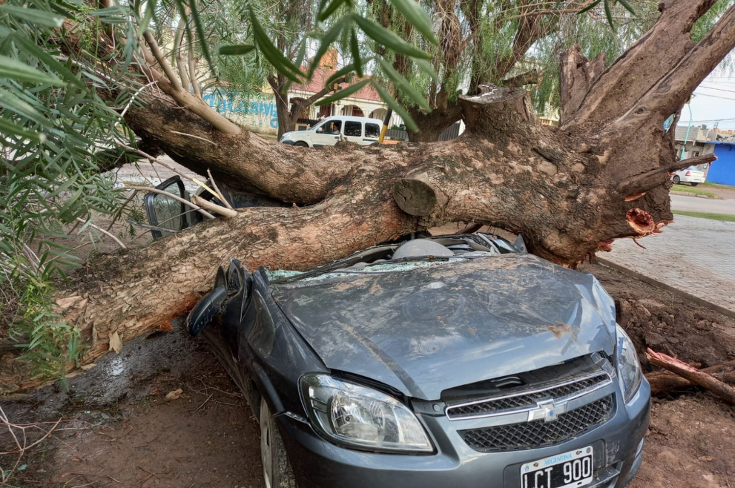 Un árbol cayó encima de un auto y su dueño estuvo atrapado más de dos horas