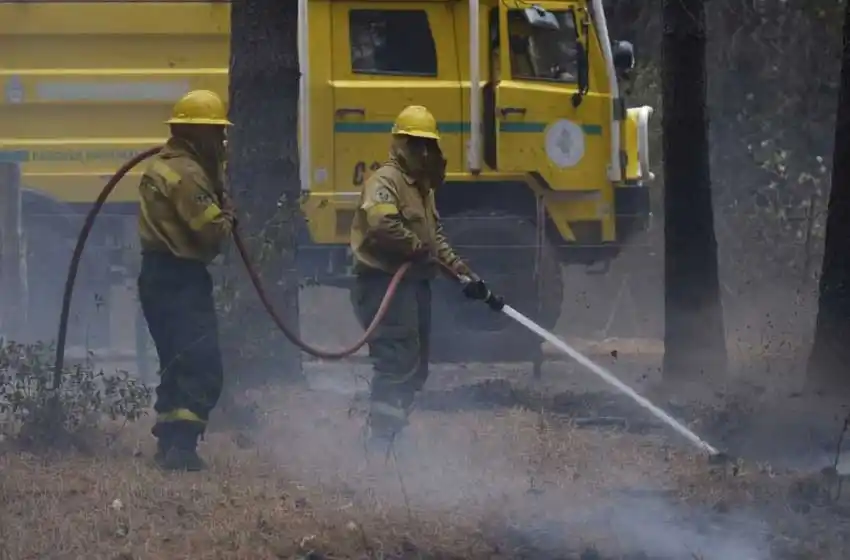 El Gobierno creó la Unidad de Análisis y Prevención de Delitos Ambientales