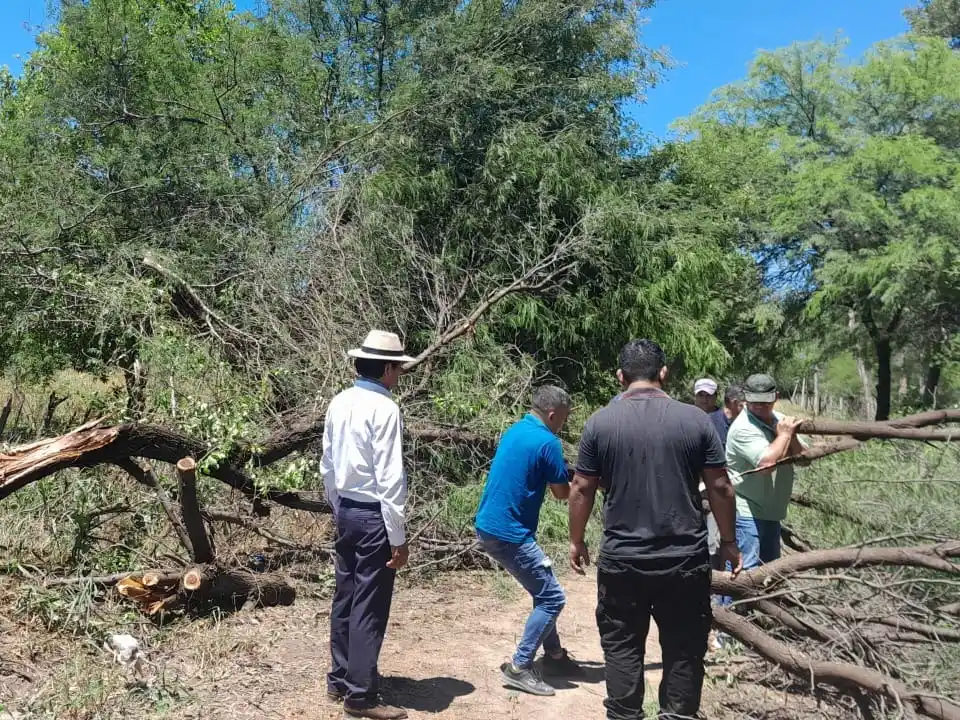 El Gobierno provincial brinda atención a familias tras el temporal en Estanislao del Campo