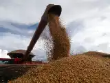 Tras la liquidación sin retenciones, hubo “nada” para productores de Tandil, dijeron referentes del agro