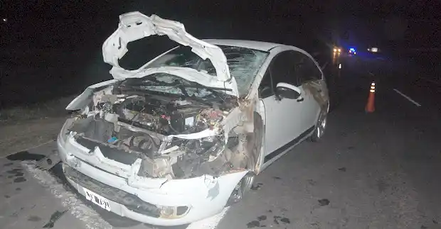 Un Citroën chocó una vaca en ruta 14