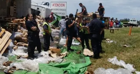 “No aprendemos más”