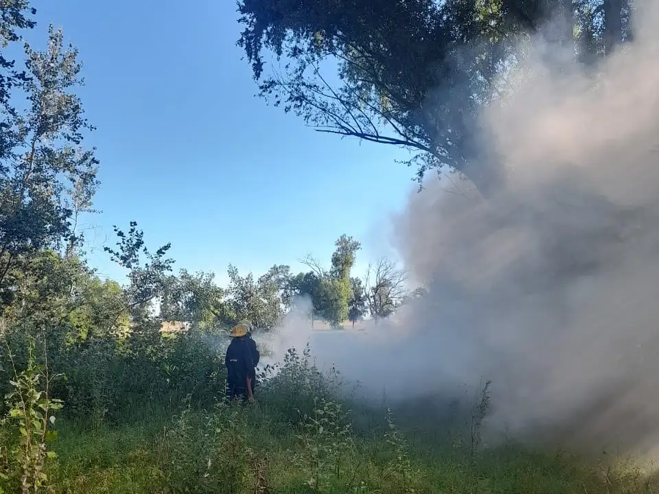 Numerosas intervenciones de Bomberos Voluntarios