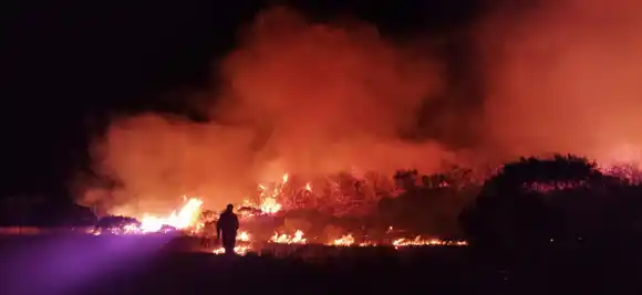 Miramar: Bomberos lograron contener incendio en bosque "Florentino Ameghino”