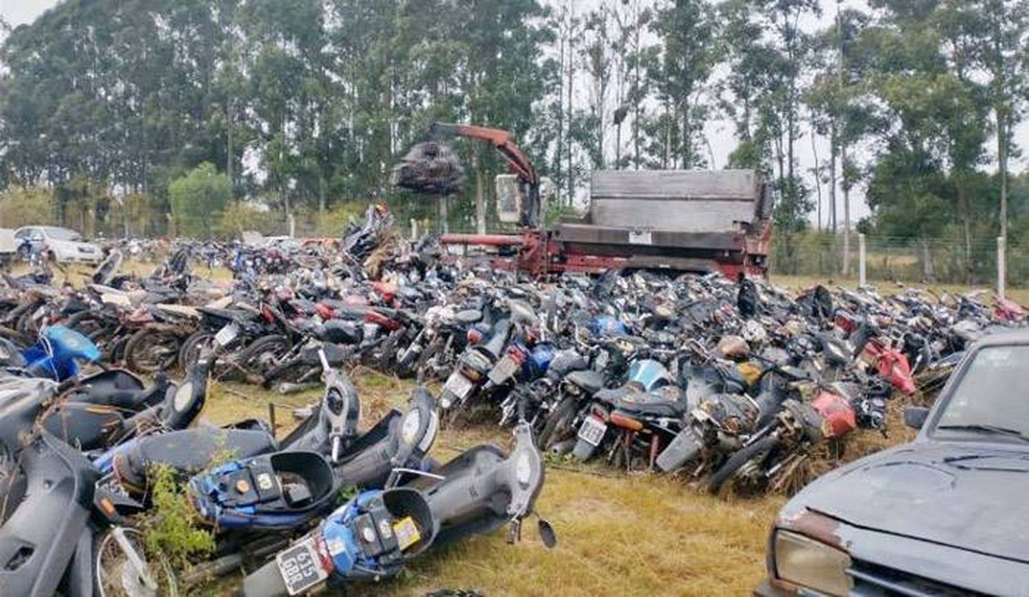 Continúa la compactación  de vehículos