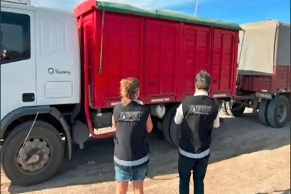 Aduana: secuestraron un cargamento de granos valuado en 28 millones de pesos