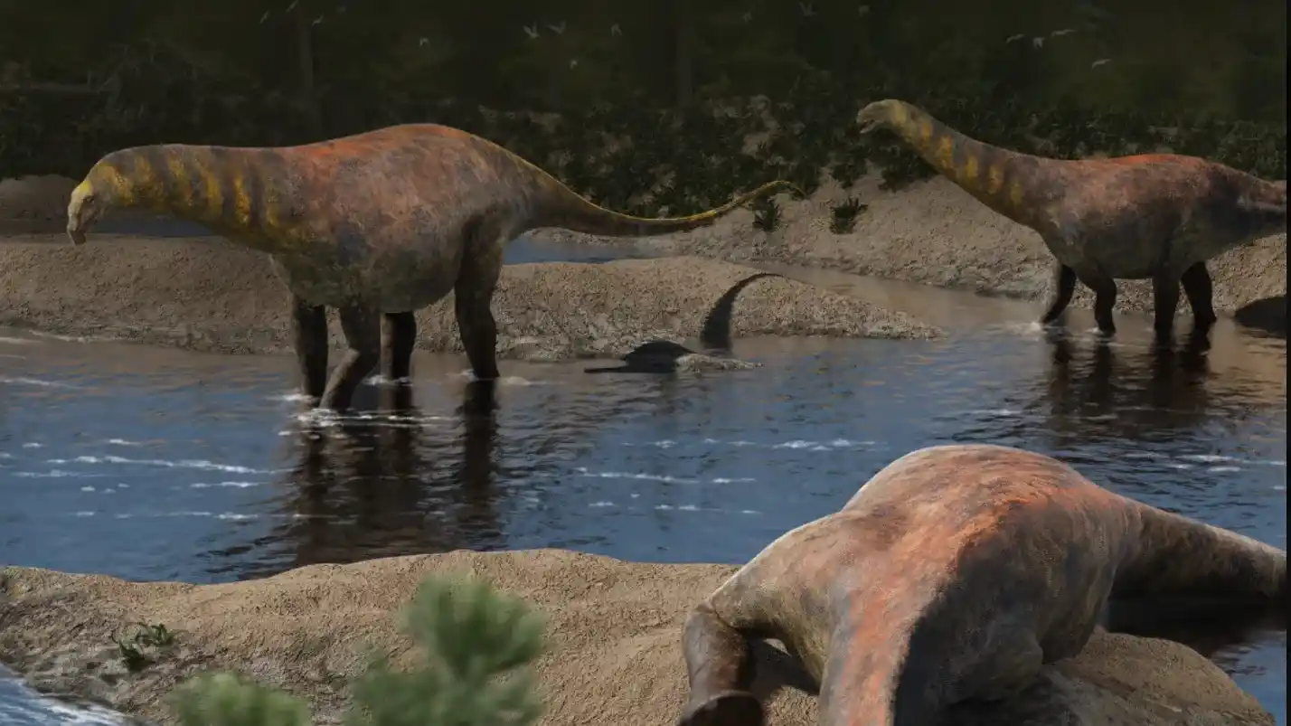 Reconstrucción digital de Astigmasaura genuflexa, la nueva especie de dinosaurio saurópodo descubierta en Argentina.