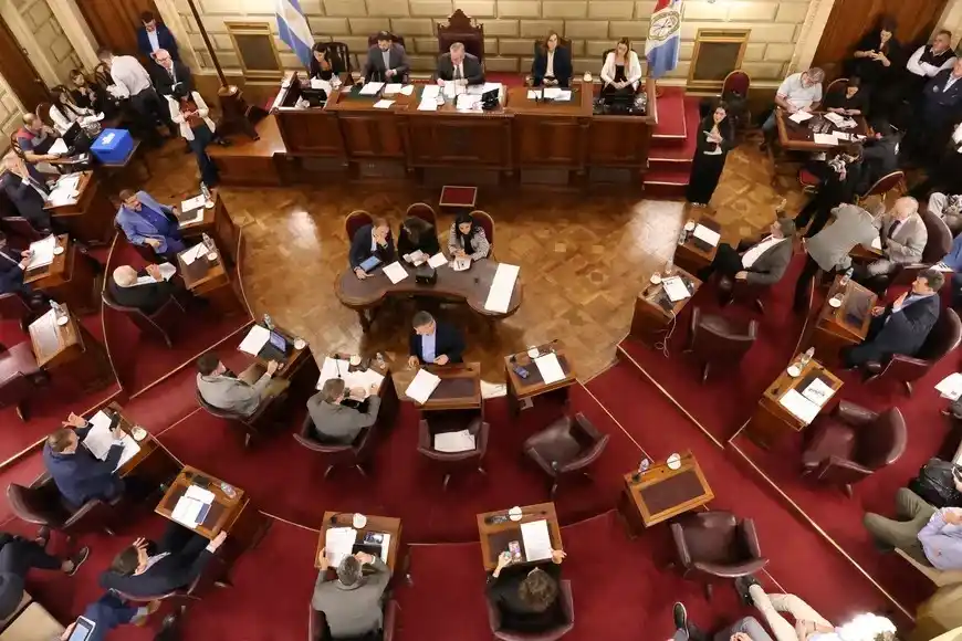 senado