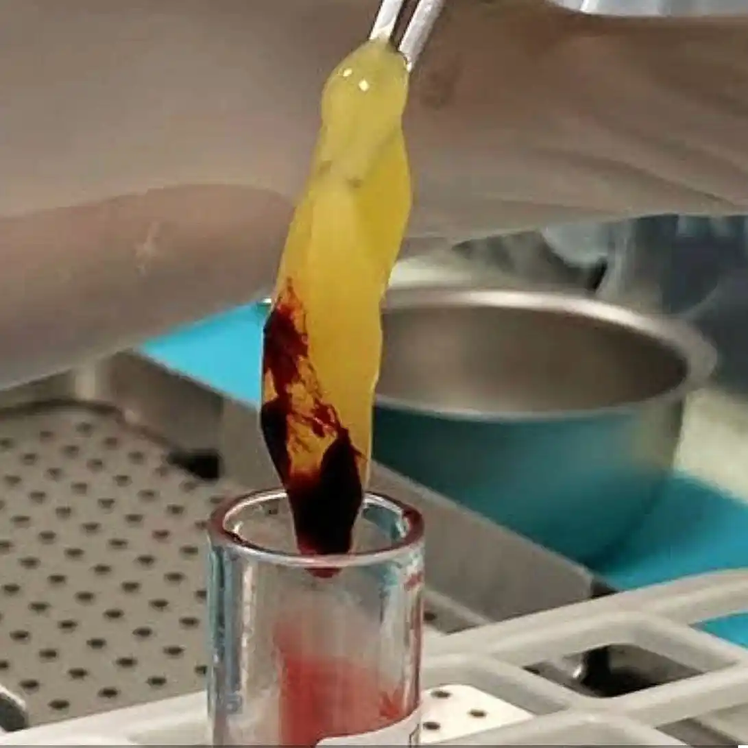 Sandra Peralta, Fabiana Henrich y Cecilia Izaguirre.