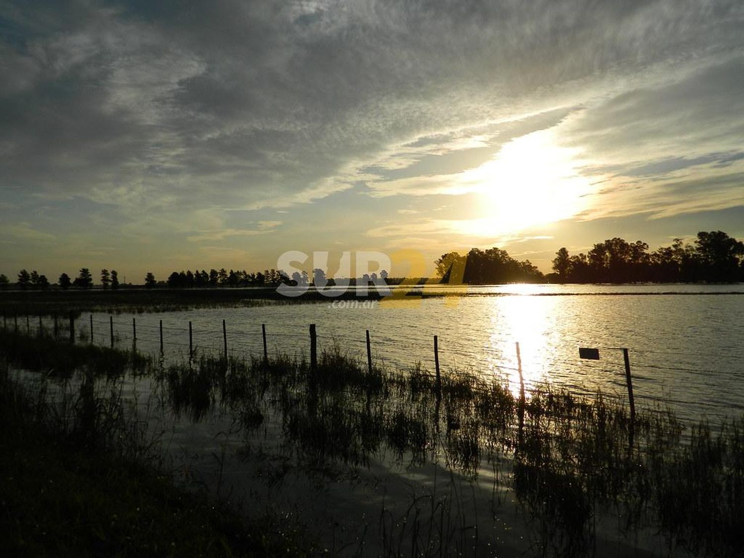 Guía del patrimonio natural y cultural de los campos de Venado Tuerto