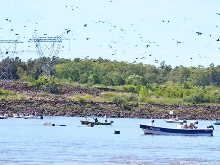 Se prepara la 33 edición de la Fiesta Nacional Pesca de la Boga