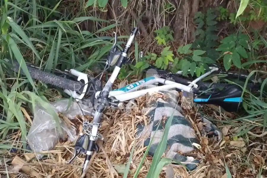 Robaron una bicicleta y a las horas la abandonaron entre unas malezas