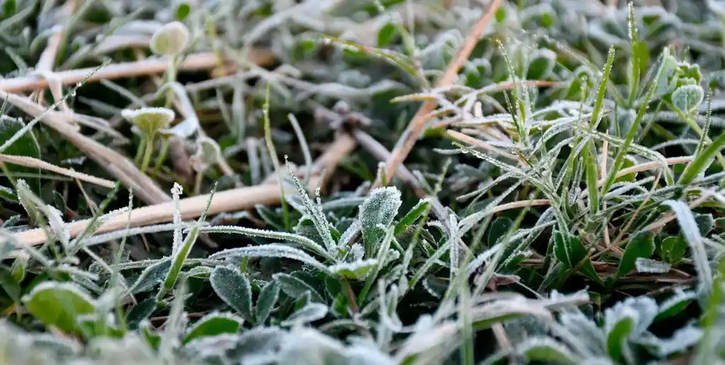 El ingreso de aire polar corto con las lluvias y dejó las primeras heladas del año.