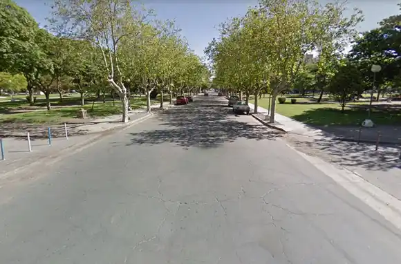 Proponen peatonalizar un tramo de la Plaza Pueyrredón