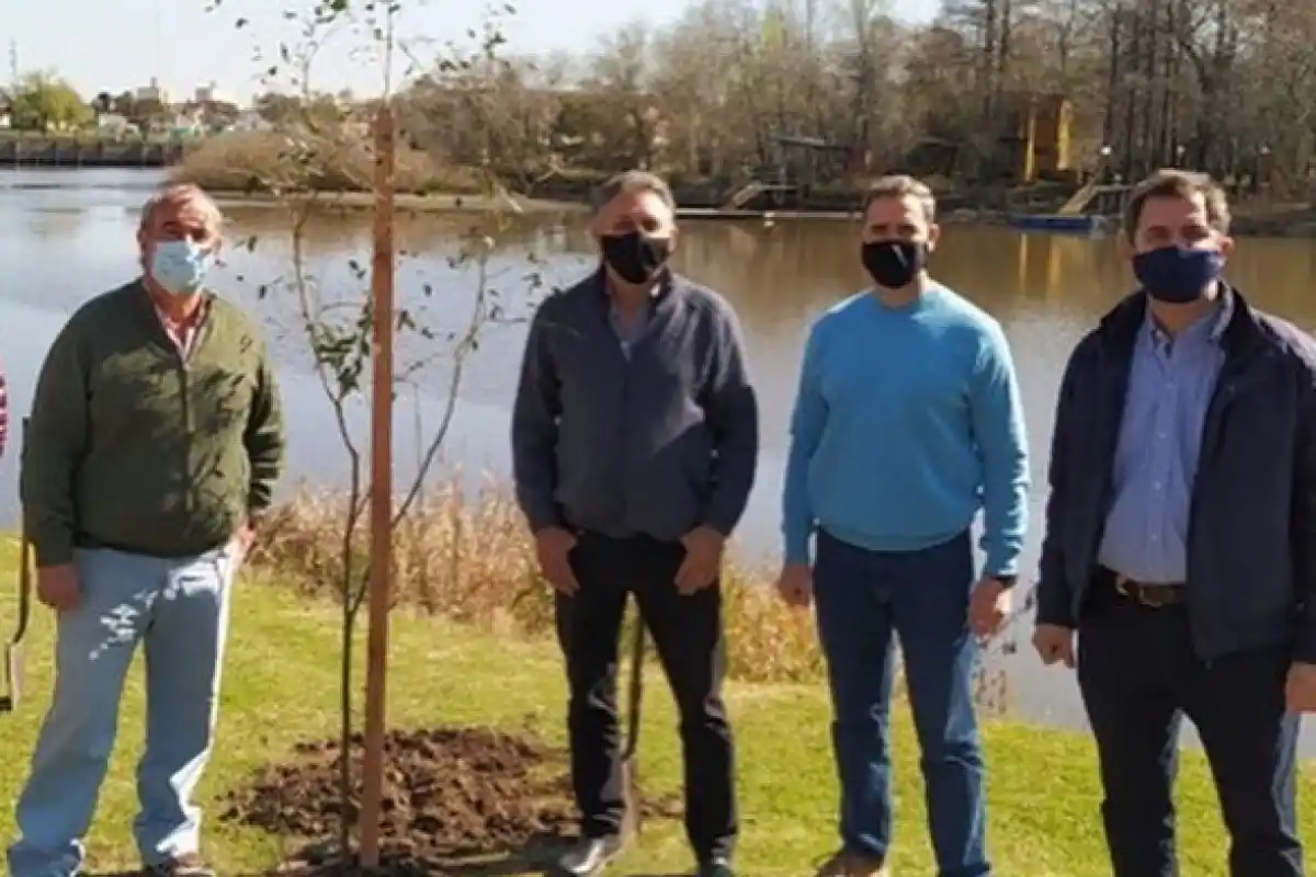 Un millón de árboles: se reforestaron más espacios públicos de la ciudad