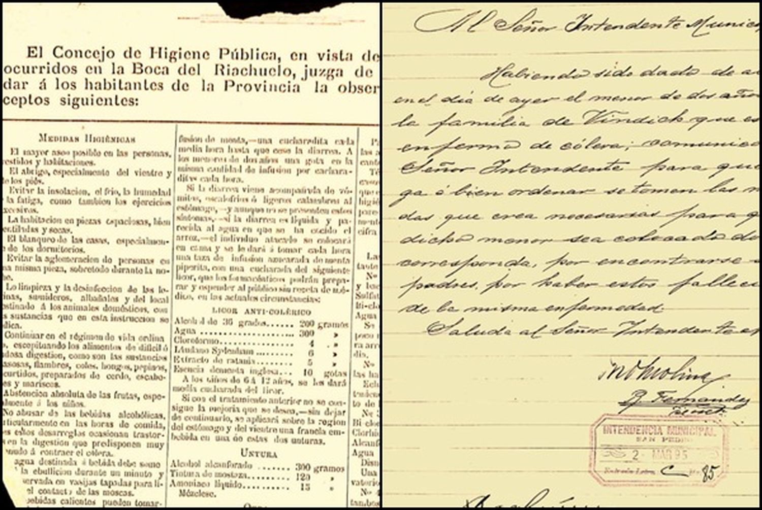 El Museo Paleontológico recuperó documentos sobre la pandemia del siglo XIX