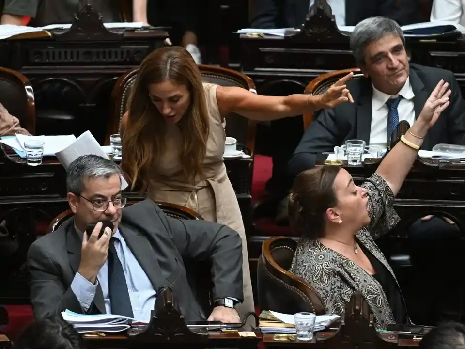 Diputados aprobó la baja de la edad de imputabilidad a 14 años y el proyecto pasa al Senado