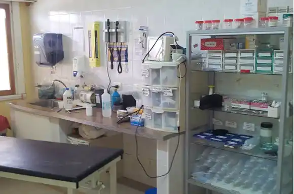 "El sistema de salud local funciona a un 30% por una política de desmantelamiento"