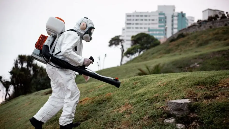 Mosquitos en Mar del Plata: "estaba previsto que llegaran pero estamos ocupándonos"