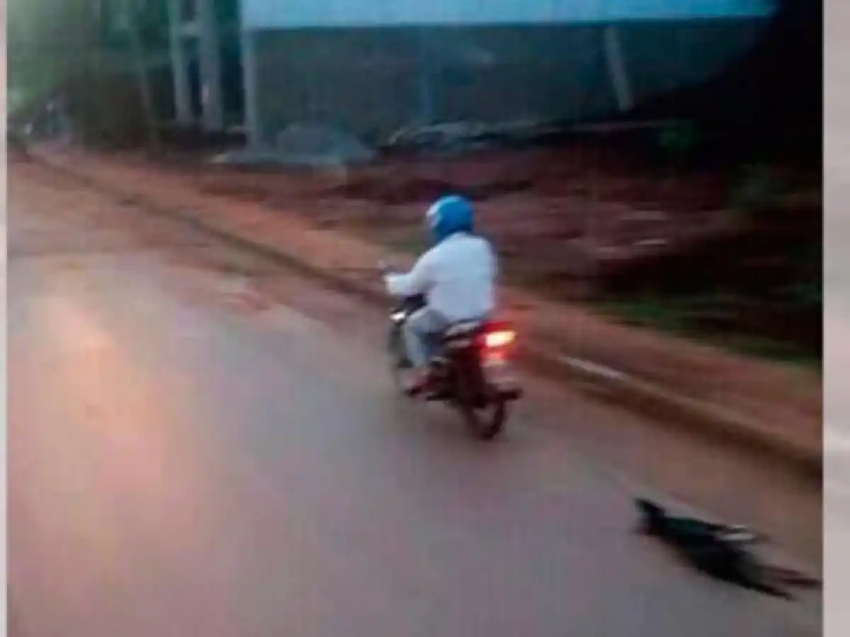 Un hombre ató a un perro a su moto, aceleró a fondo y lo mató