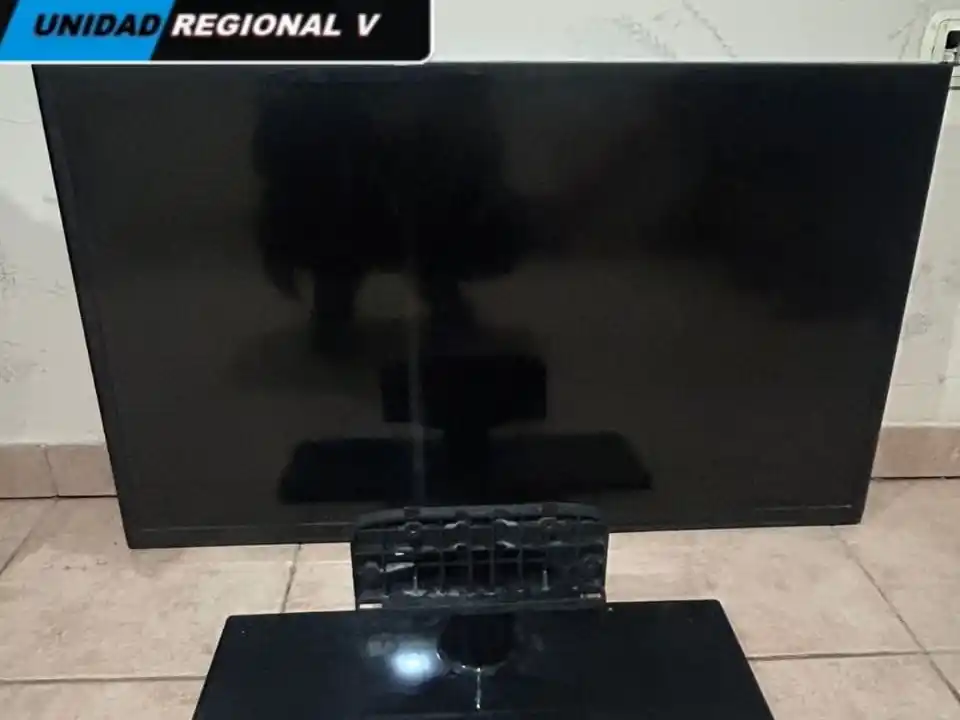 Los vieron en plena madrugada "caminando con un televisor al hombro": directo a la comisaría
