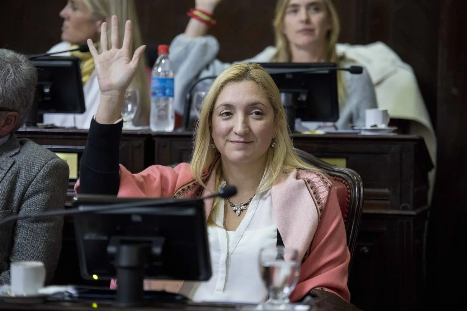 Aldana Ahumada: "Eliminar los impuestos de las tarifas es acompañar a las familias"
