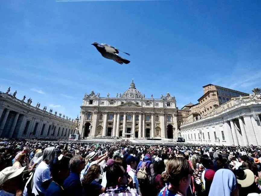 El Papa recuerda a periodistas víctimas de la violencia ante el retroceso global de la libertad de prensa