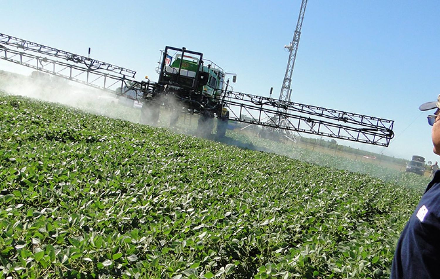 Agroquímicos: Aseguran que "la ley provincial es un disparate" porque "no fija distancias"