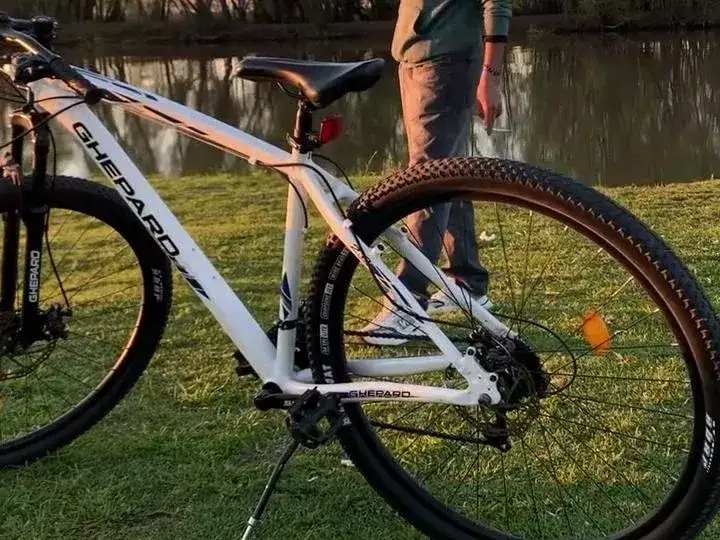 Bicicleta robada en Lucio Mansilla y Miguel Porta