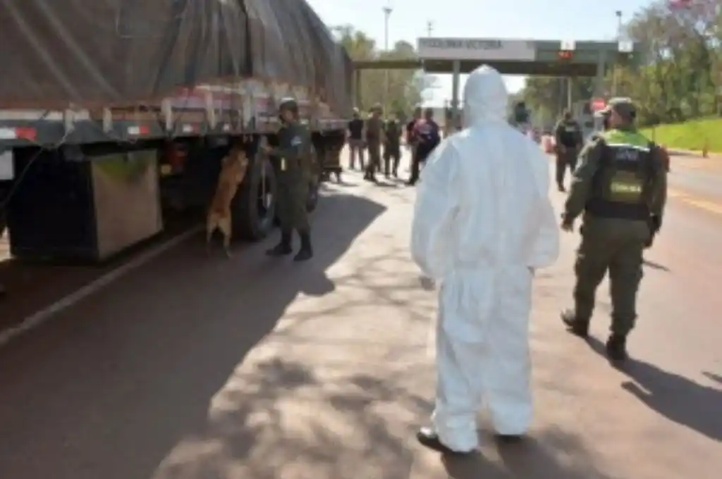 Secuestran marihuana que iban en un camión desde Brasil con rumbo a Córdoba