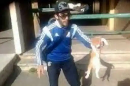 Le dan un año de prisión por maltratar a un gato y filmarlo