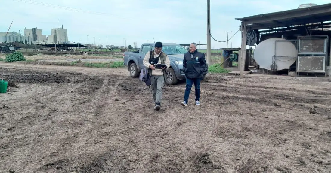Detectaron graves irregularidades laborales en tres tambos con 16 trabajadores no registrados
