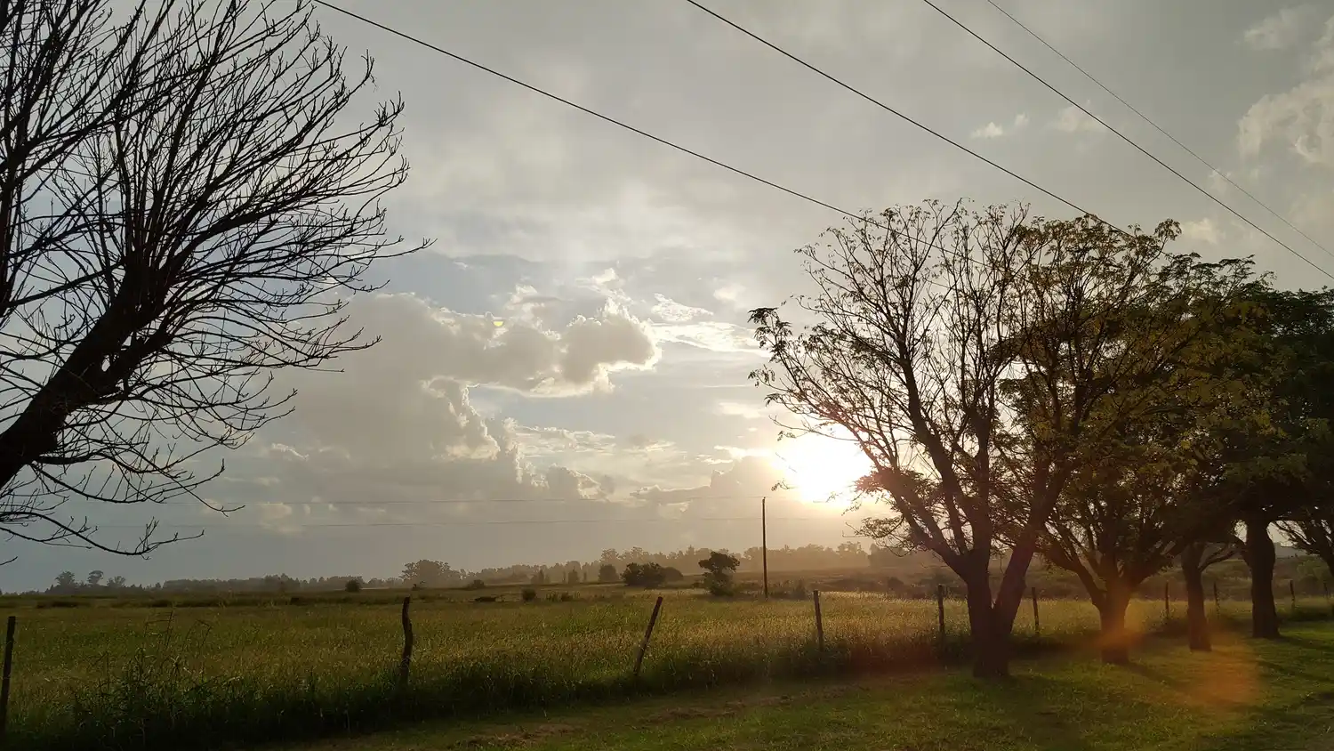Junto con las lluvias avanzará un frente frío